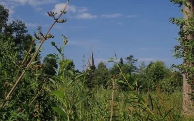 Projet Boiron : Ecolo Beauvechain réagit au rapport transmis à la fonctionnaire déléguée de la région wallonne par le collège communal.